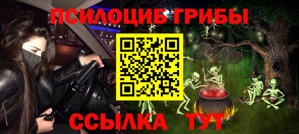 Галлюциногенные грибы ЛСД  Вход с VPN  Алейск  Галлюциногенные грибы Psilocybe 