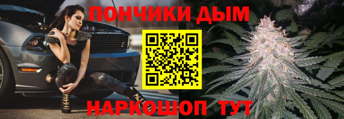 Каннабис планчик Алейск
